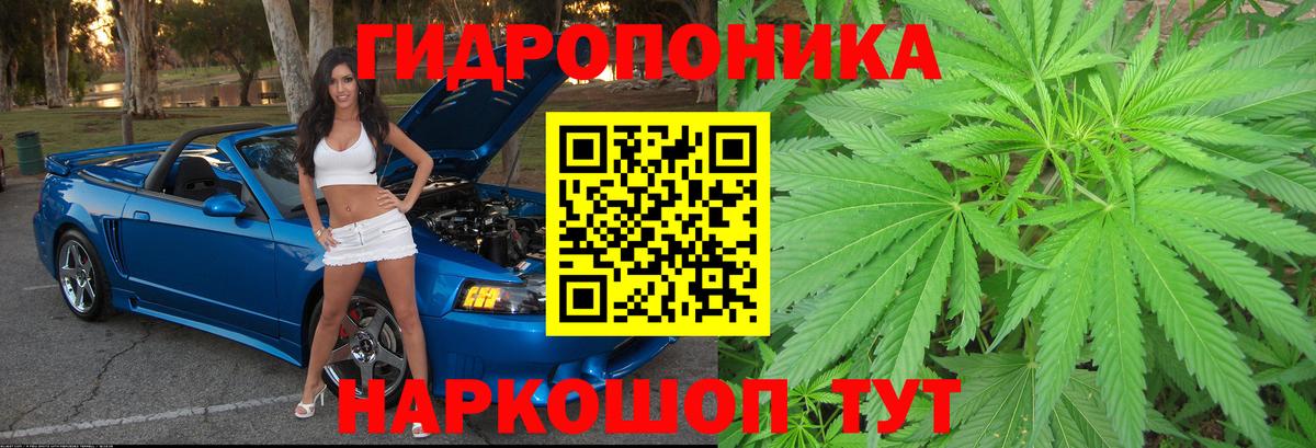 Конопля семена  Марихуана ГИДРОПОН  Одинцово  Вход с VPN  Шишки марихуана план 